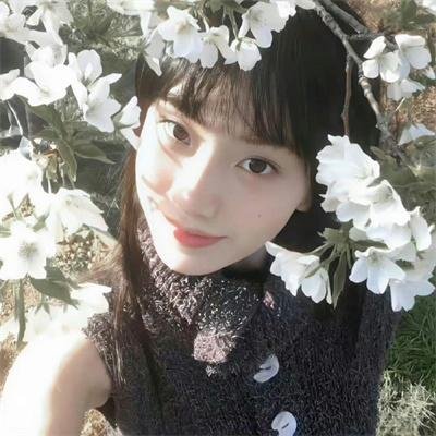 反贪风暴